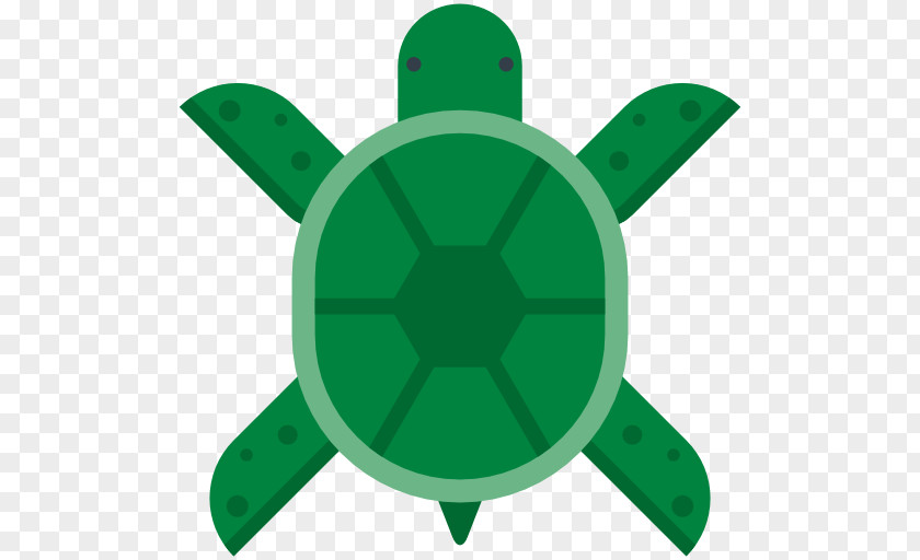 Turtle Sea PNG