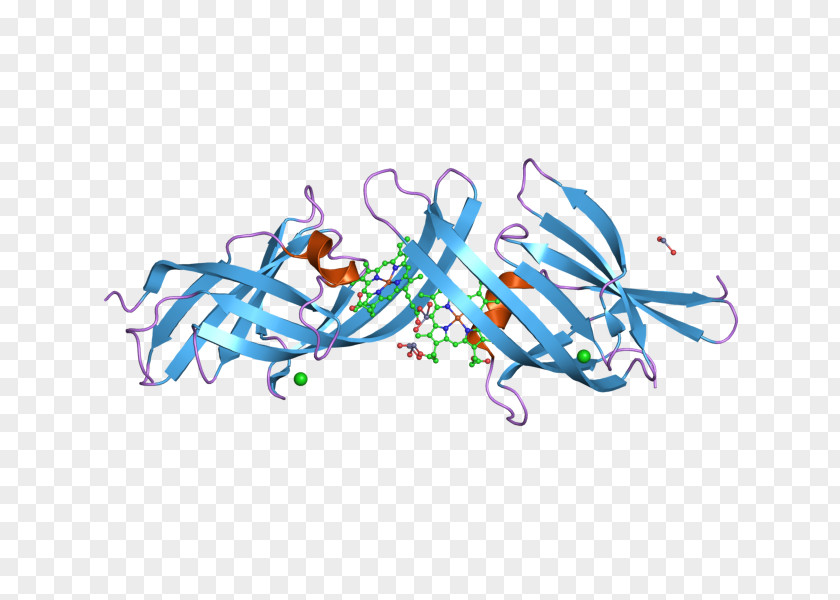 Antibody Cartoon Illustration Clip Art Product Design Desktop Wallpaper PNG