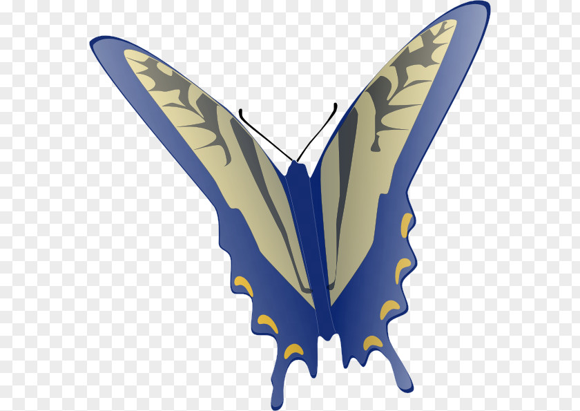 Butterfly Images Free Content Clip Art PNG