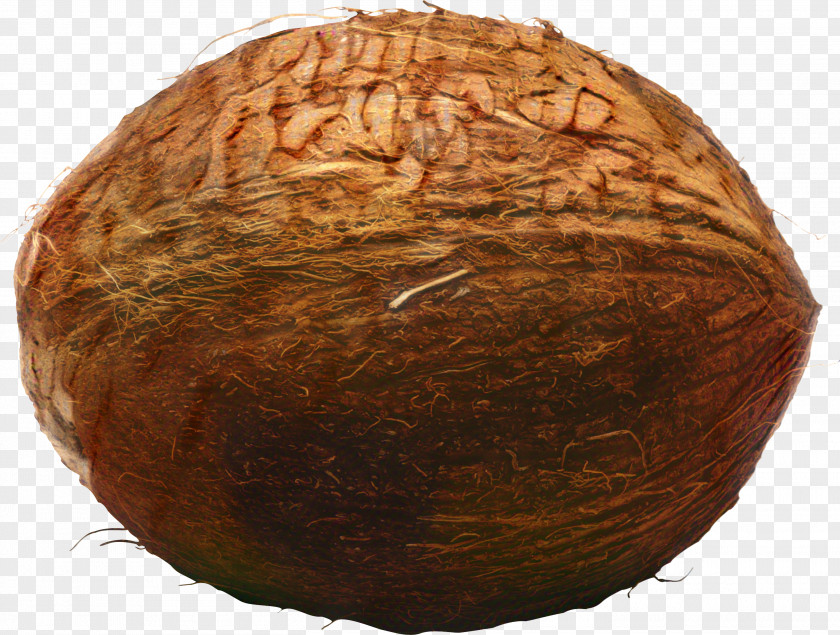 Coconut Commodity Cartoon PNG