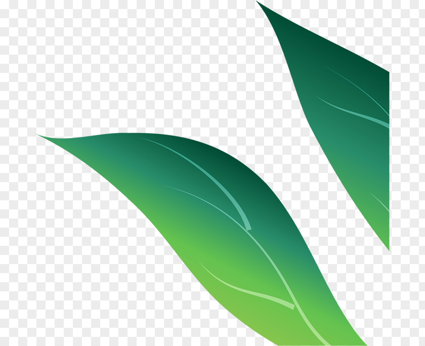 Colorful Run Green Leaf PNG