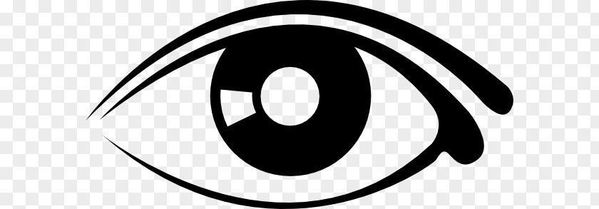 Eye Human Clip Art PNG