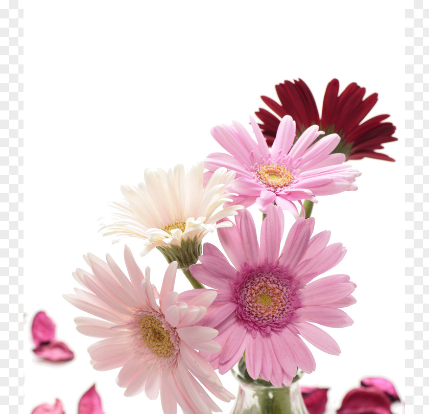 Flower Desktop Wallpaper Photography Clip Art PNG