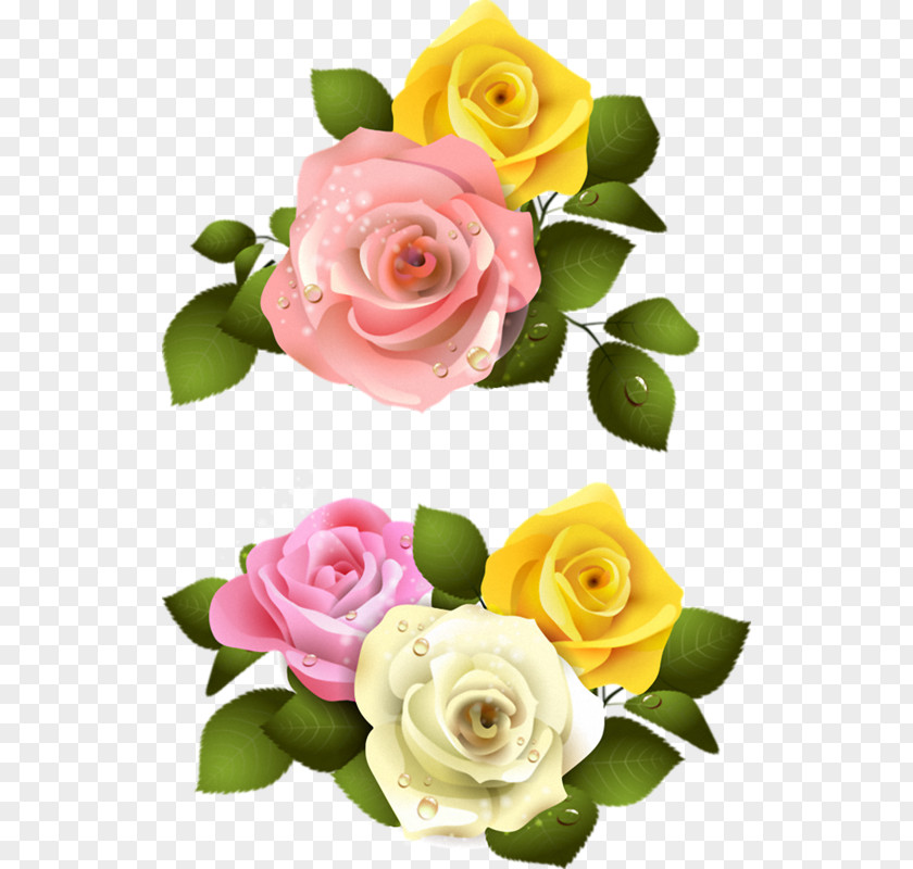 Flower Drawing Picture Frames Clip Art PNG