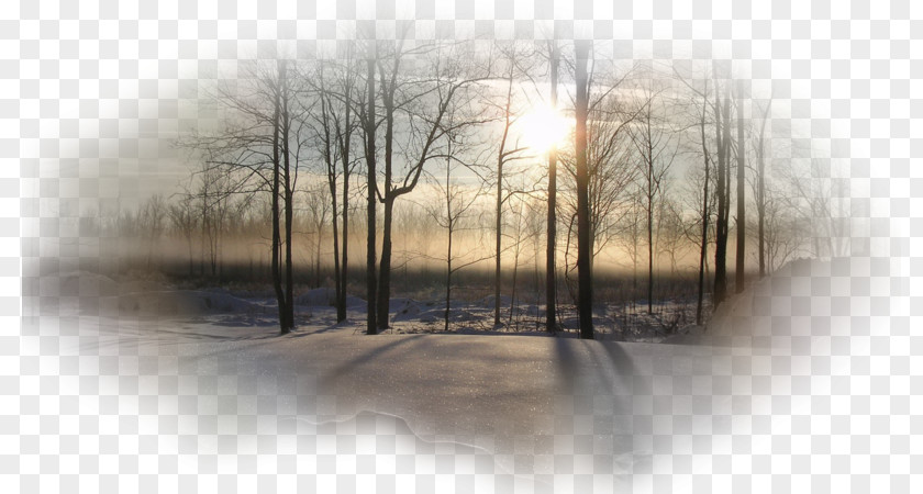 Fog Mist Desktop Winter Stock Photography PNG photography, snowing day clipart PNG