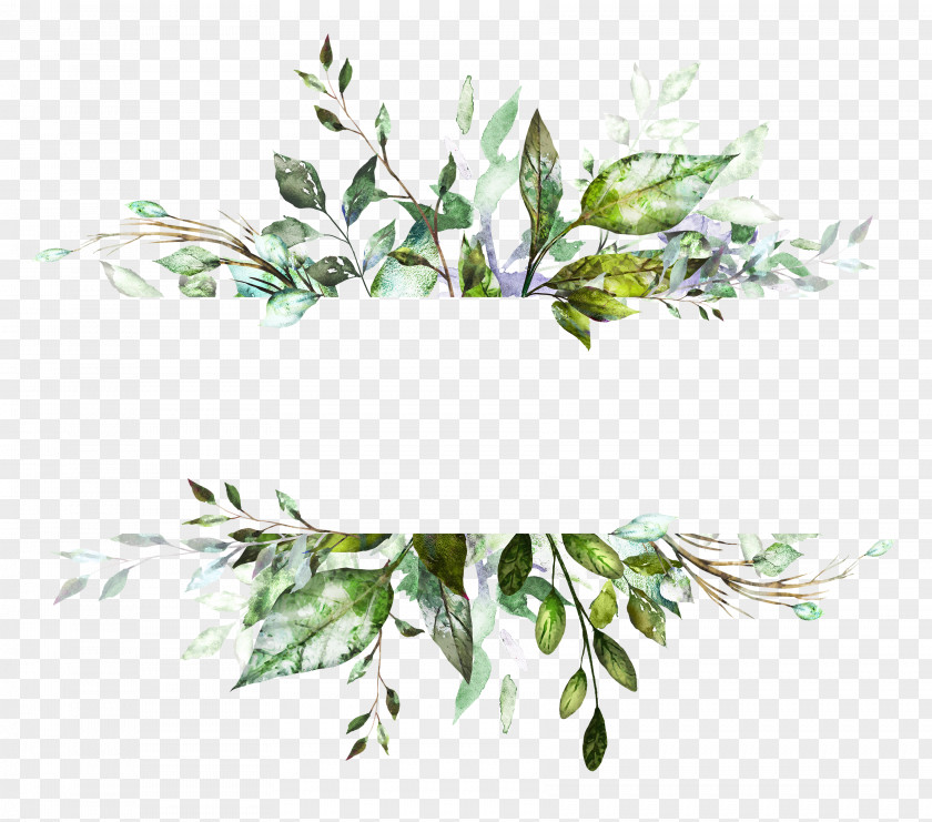 Painting Watercolor: Flowers Watercolor Vector Graphics Illustration Drawing PNG