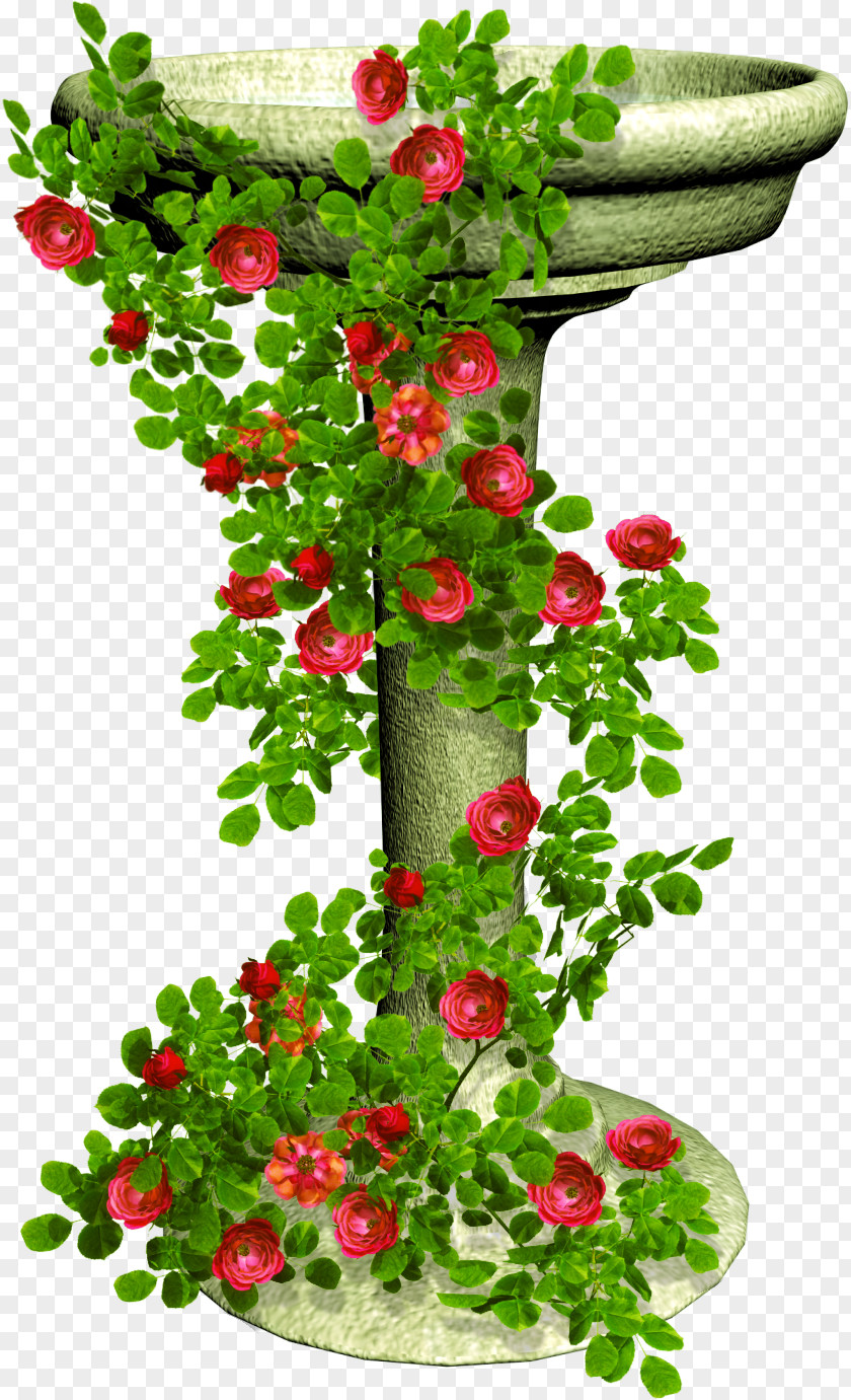 Tabla Rose Flower Clip Art PNG