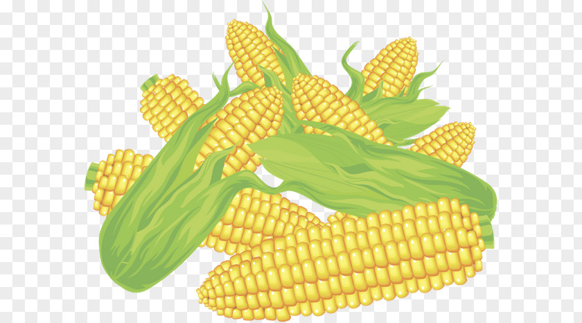 Corn On The Cob Maize Sweet PNG