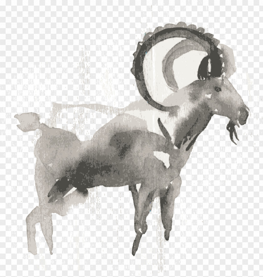 Vector Colored Goat Sheep Illustration PNG