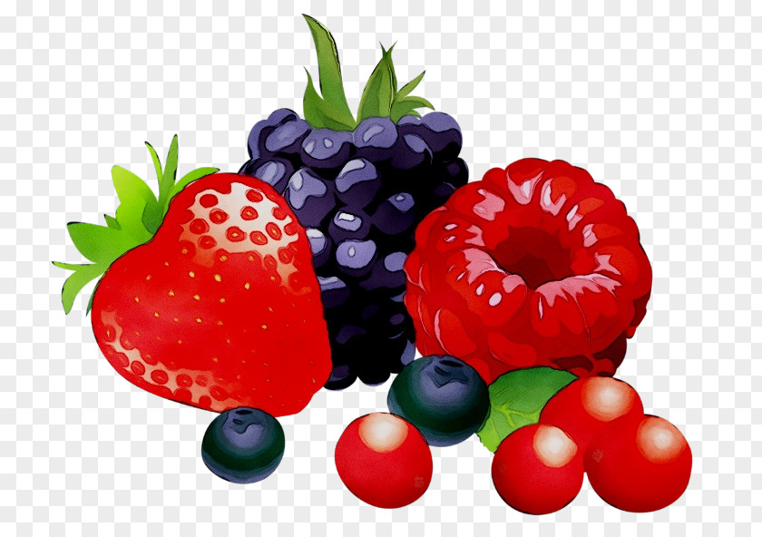 Berries Clip Art Fruit Food PNG