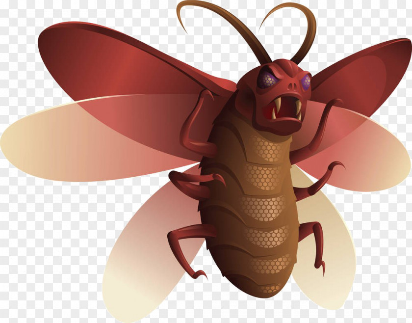 Cartoon Insect Material Drawing PNG