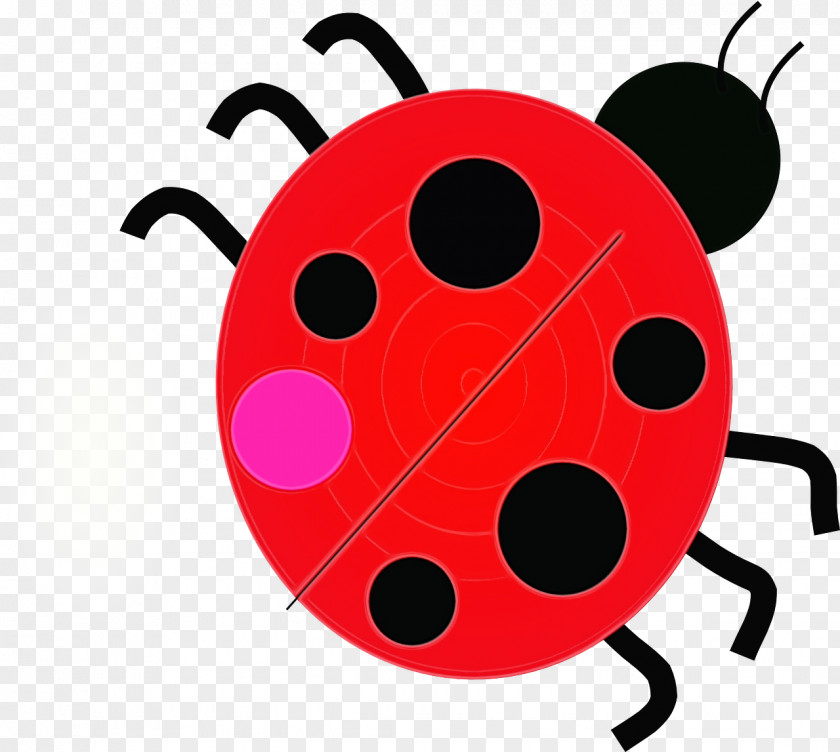 Ladybird Beetle Drawing Line Art Cartoon PNG