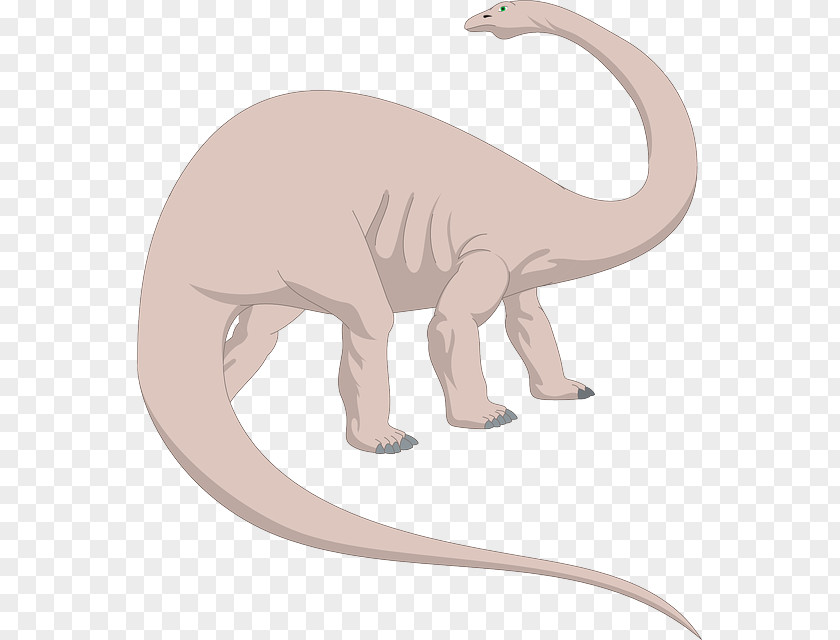 Long Neck Animals Brachiosaurus Brontosaurus Apatosaurus Clip Art PNG