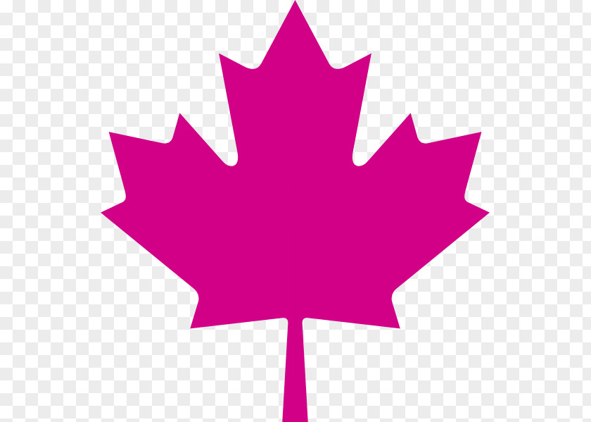 Purple Leaves Flag Of Canada Maple Leaf Clip Art PNG