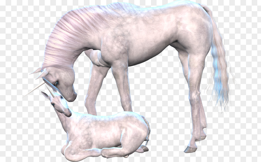 Unicorn Horse Mane Clip Art PNG