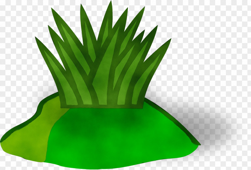 Houseplant Flowerpot Banana Leaf PNG