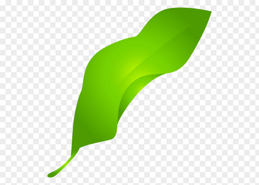 Leaf Clip Art Product Design Plant Stem Line PNG