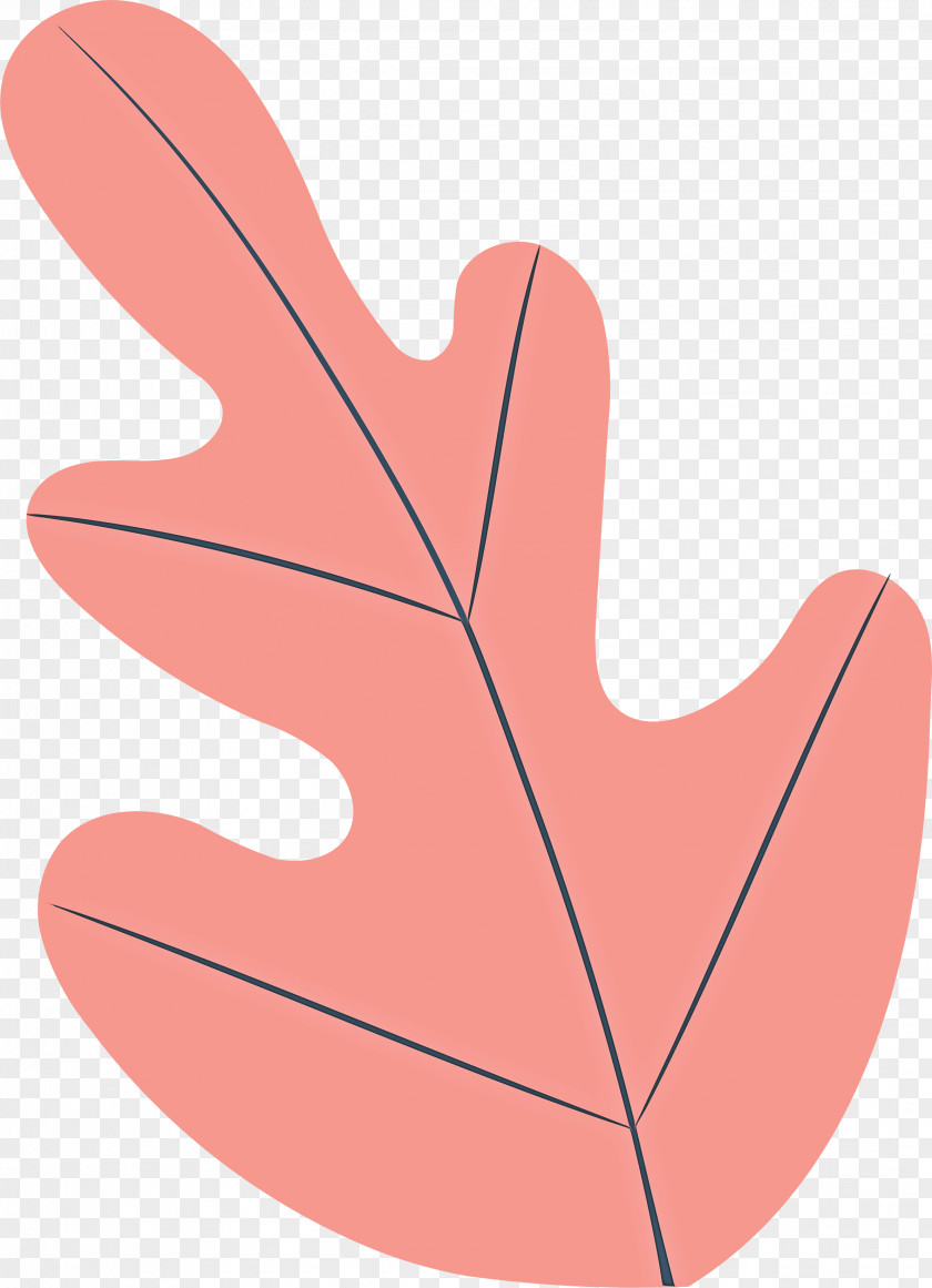 Olive Leaf PNG