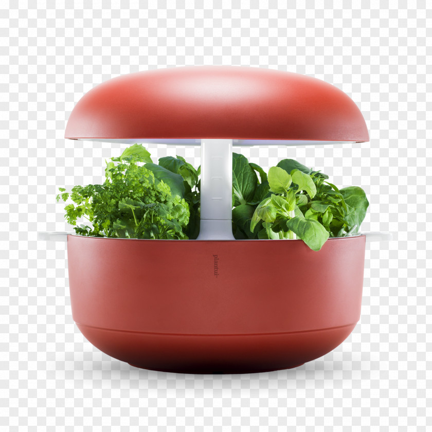 Salad Plantui Smart Garden LLP Greenhouse Herb PNG
