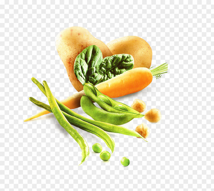 Vegetarian Cuisine Baby Carrot Veggie Burger Vegetarianism Food PNG