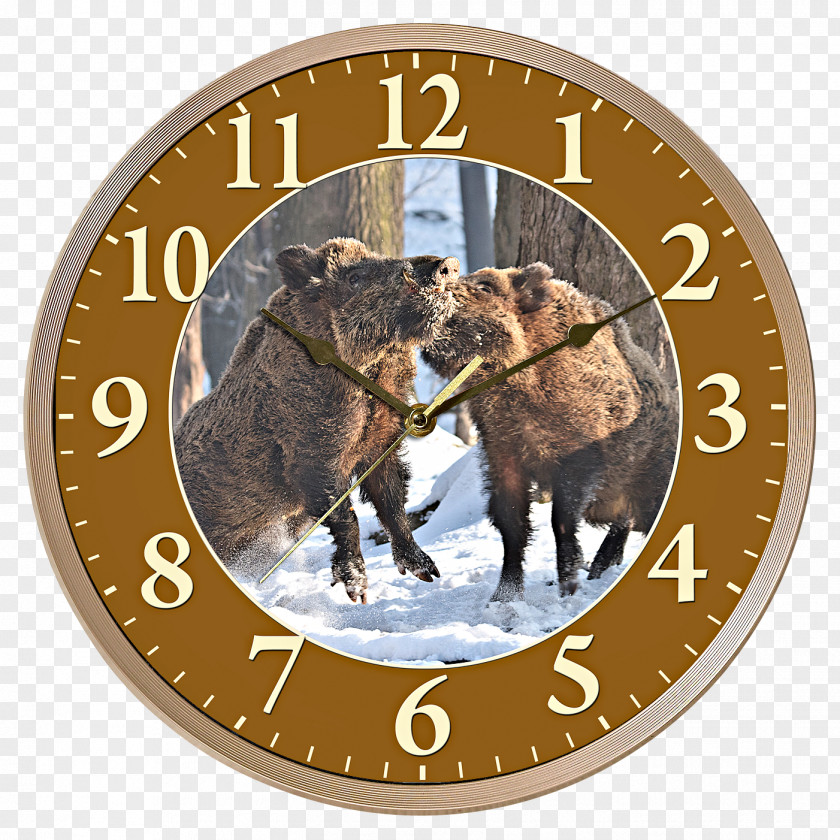 Boar Clock Clothing Accessories PNG