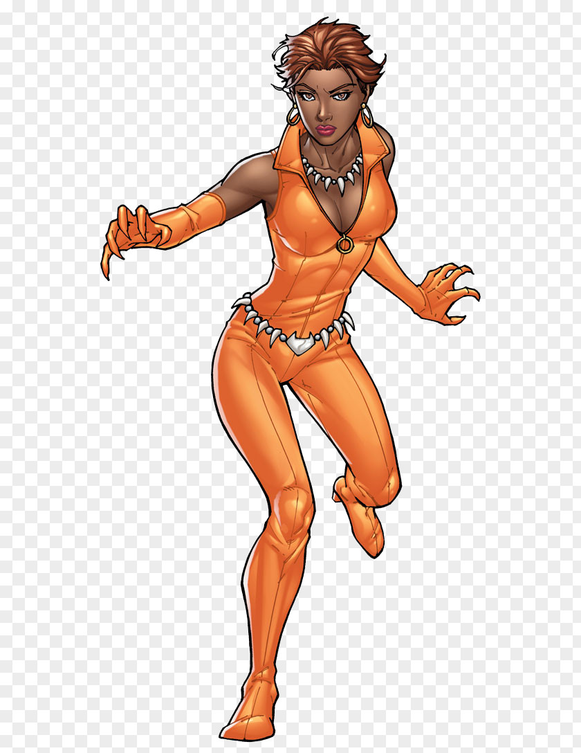 Dc Comics Vixen Mera Justice League DC PNG