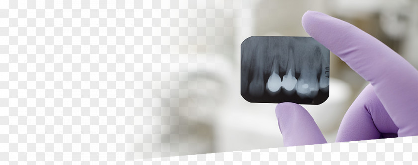 Dental Laboratory Dentistry Tooth ArseDent Therapy PNG