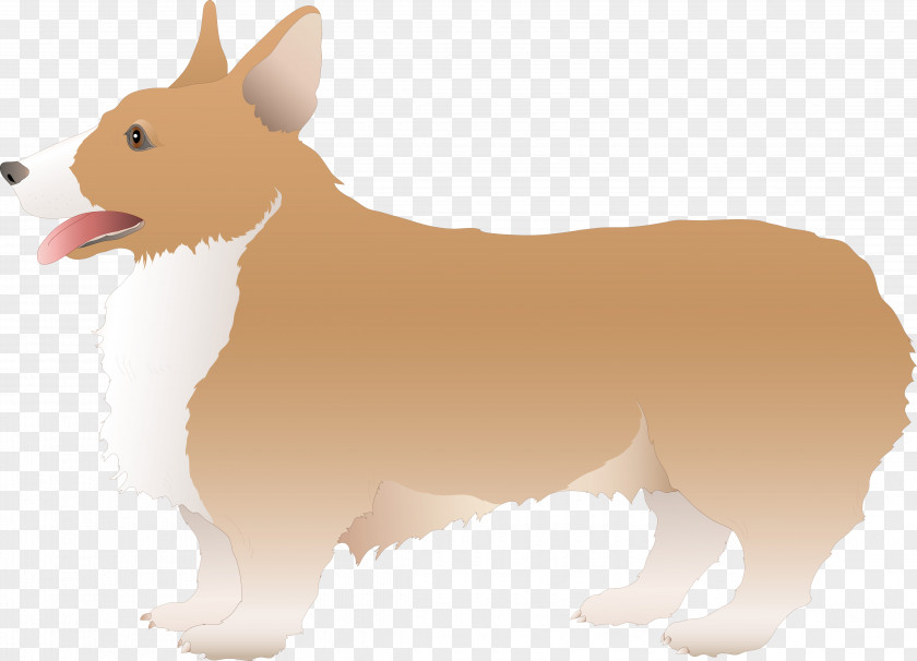 Dog And Cat Pembroke Welsh Corgi Canidae Puppy Breed Snout PNG