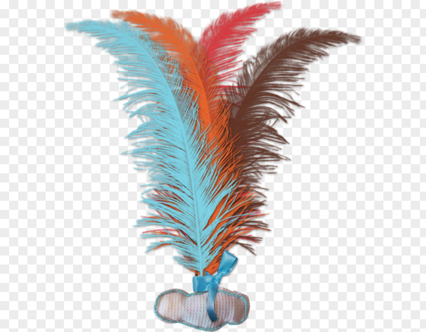 Feather Clip Art Image Jianzi PNG