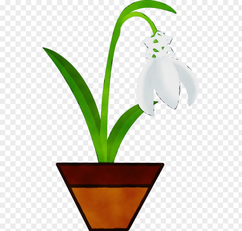 Flowerpot Flower Plant Houseplant Stem PNG