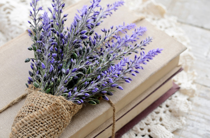 Lavender Book Flower Wallpaper PNG