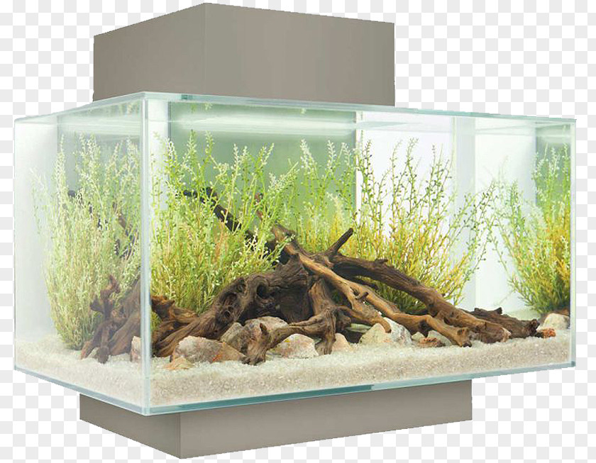 Rectangular Tank Light Nano Aquarium Fishkeeping Filter PNG