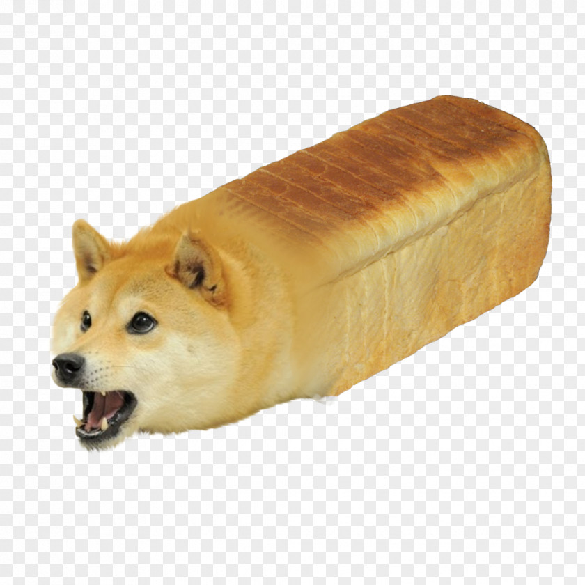 Bread Shiba Inu Doge YouTube PNG