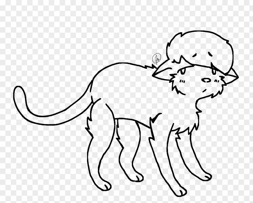 Cat Whiskers Line Art Kitten PNG