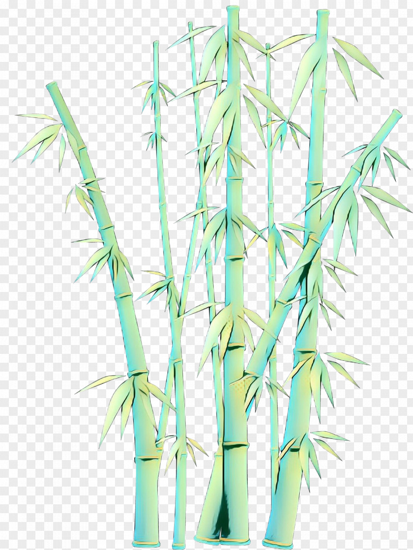 Flower Elymus Repens Bamboo Grass Plant Family Stem PNG