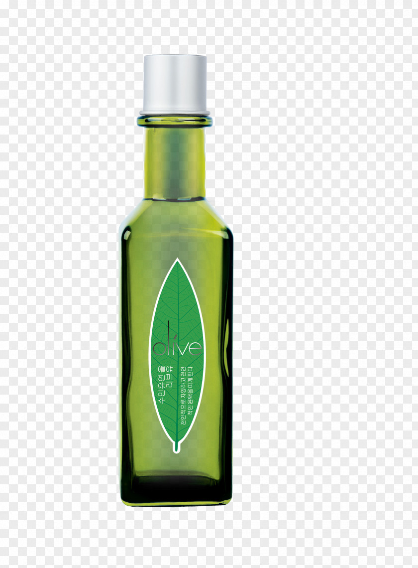 Green Organic Olive Oil Leaf PNG