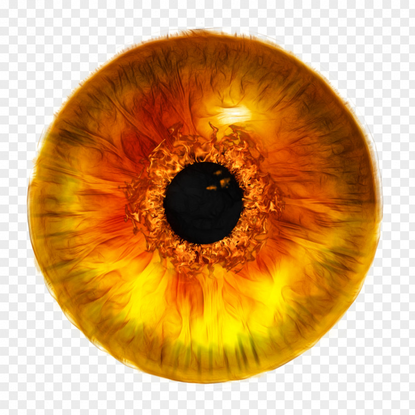 I Flame Eye Stock Photography DeviantArt Iris PNG