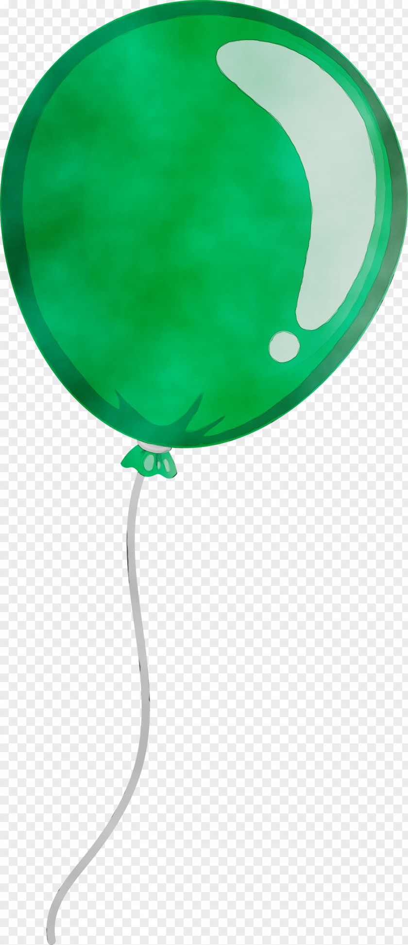 Leaf Green Balloon Science Plant Structure PNG