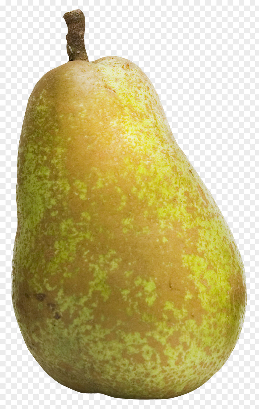 Pear Pyrus Xd7 Bretschneideri Fruit PNG