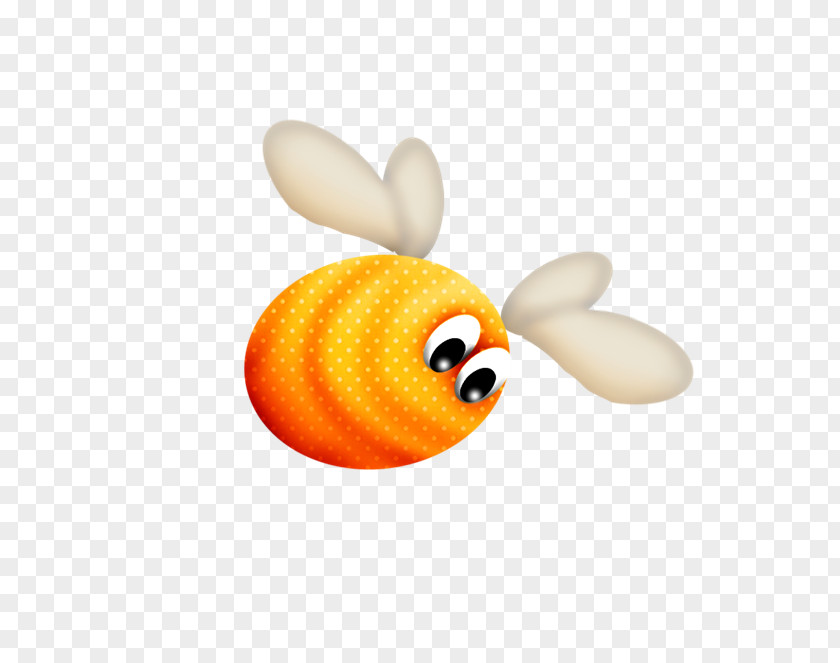Yellow Bee Insect Fruit Orange Membrane PNG