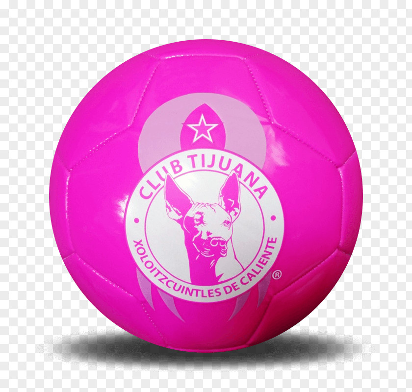 Balones Club Tijuana C.F. Monterrey Primera División De México Clausura 2018 Mexican Hairless Dog PNG