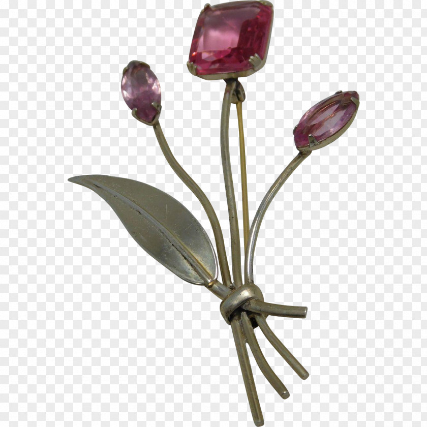 Coração Cut Flowers Plant Stem Purple PNG