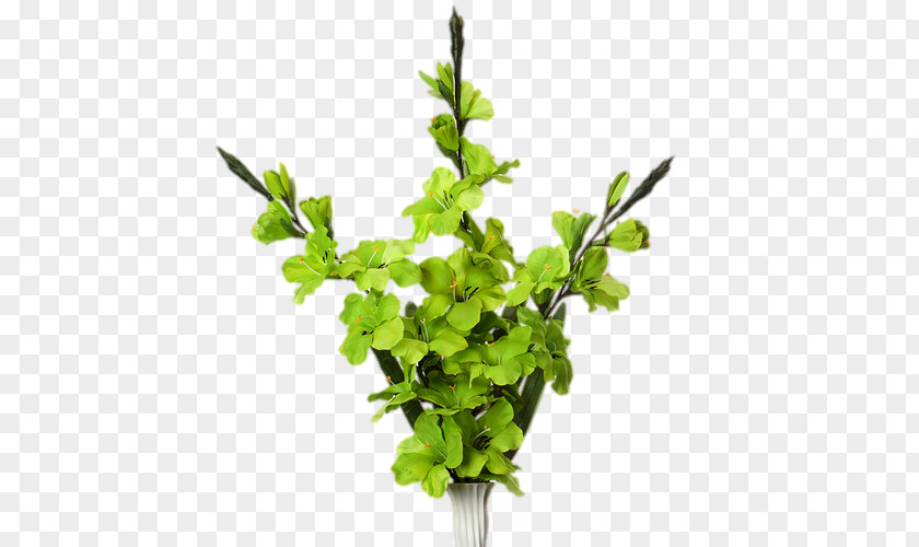 Leaf Twig Vegetable Herb Plant Stem PNG