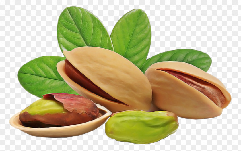 Pistachio Nut Food Ingredient Plant PNG