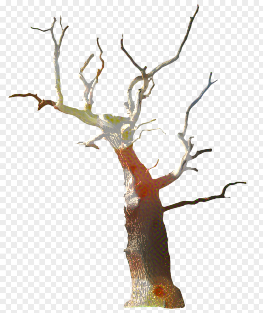 Plane Flower Tree Trunk Drawing PNG