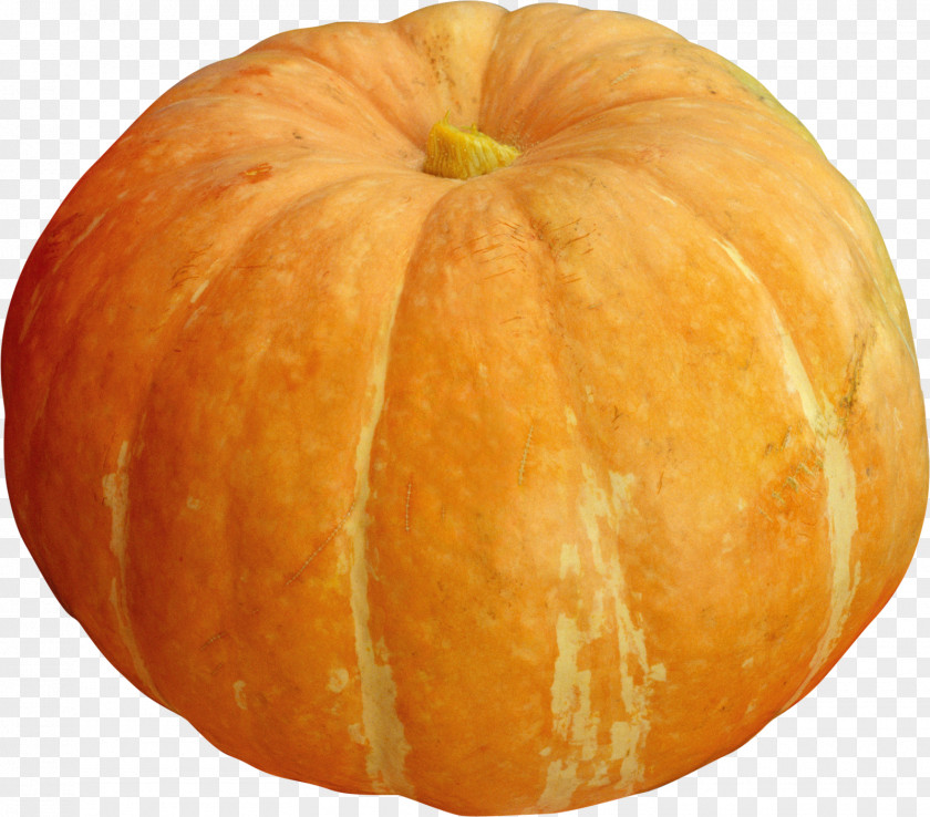 Pumpkin Gourd Winter Squash Vegetarian Cuisine Patty Pan PNG