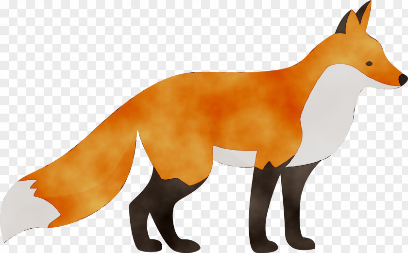 Red Fox Vector Graphics Clip Art PNG