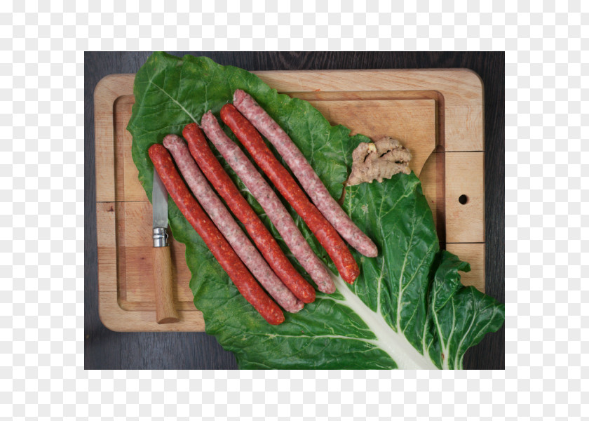 Sausage Chard Bratwurst Romaine Lettuce Cabanossi Droëwors PNG