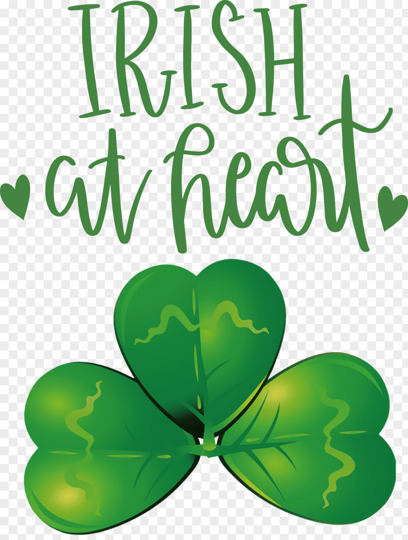 Shamrock Irish Saint Patrick PNG