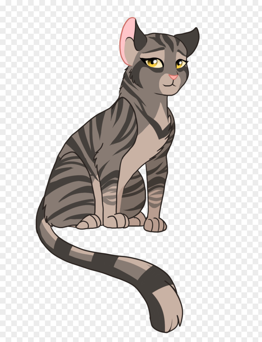 Cat Whiskers Domestic Short-haired Tabby PNG